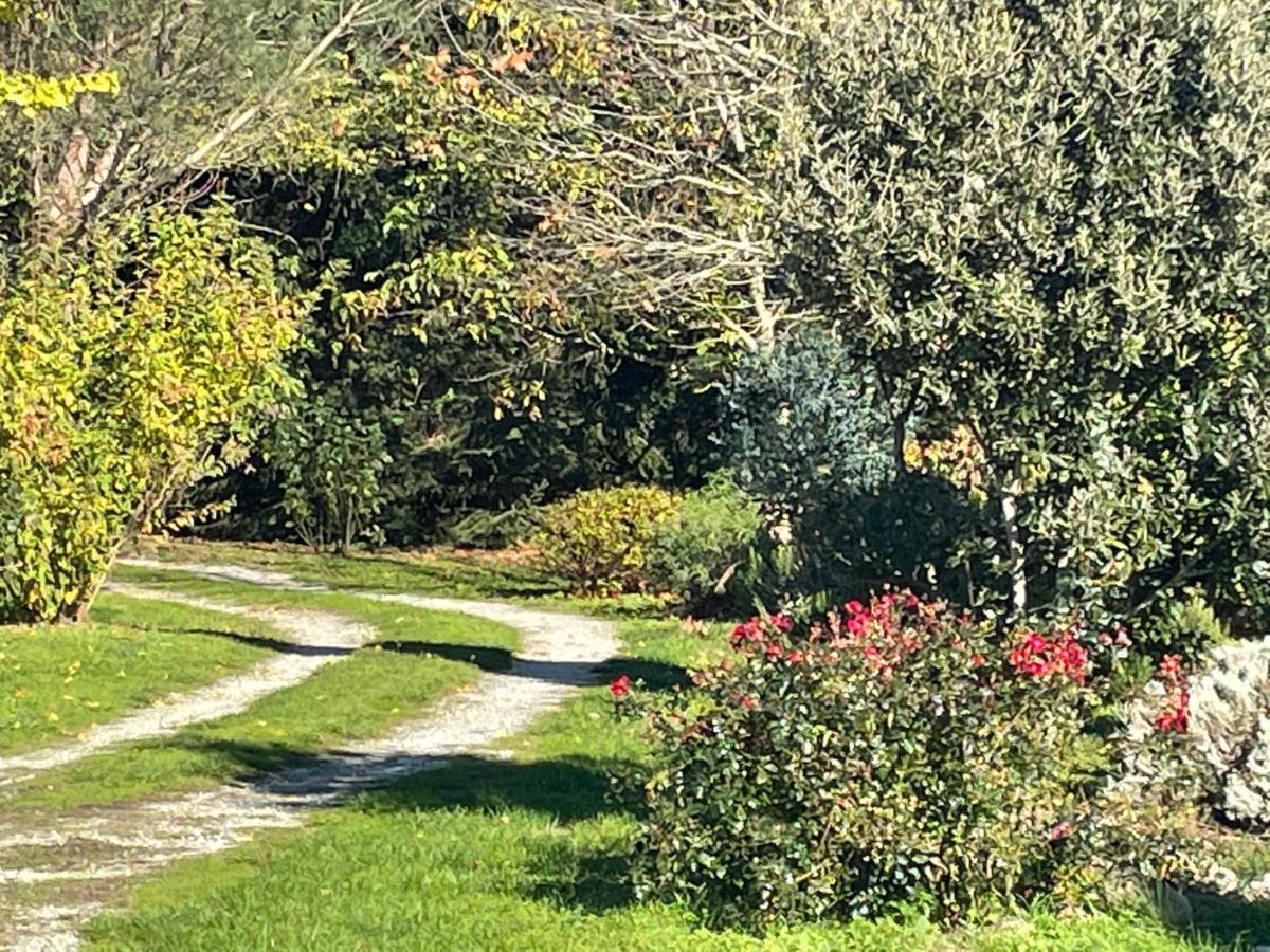 Borie Grande Villa Saint-Denis  Dış mekan fotoğraf