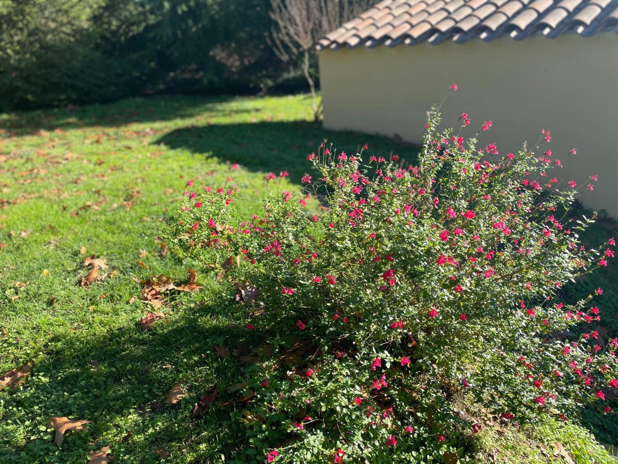 Borie Grande Villa Saint-Denis  Dış mekan fotoğraf